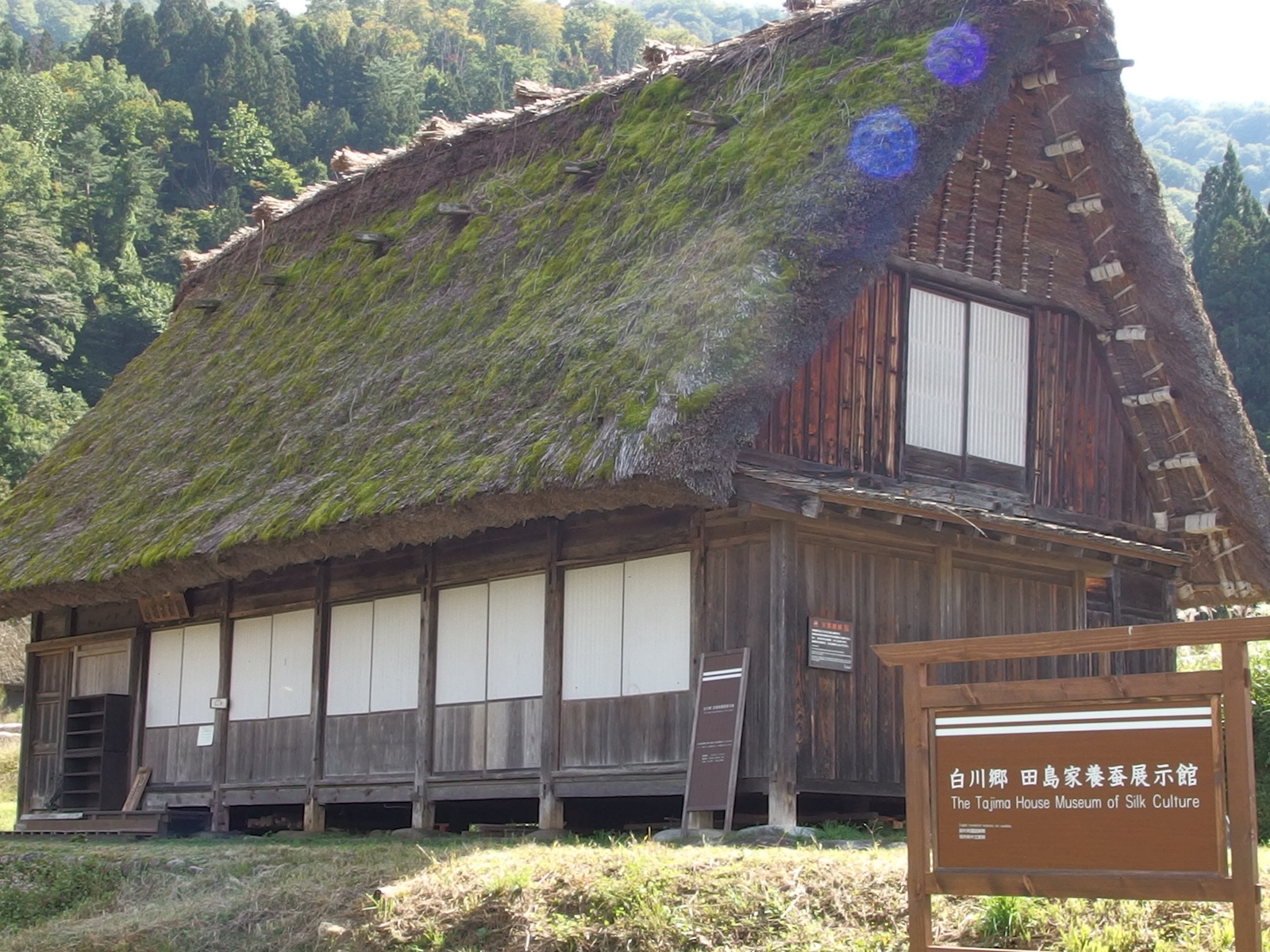 当時のメディア報道・掲載写真